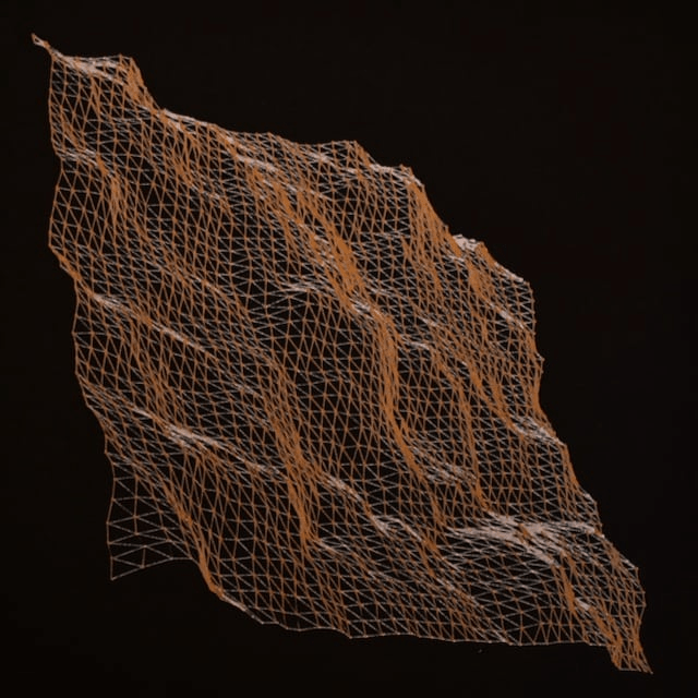 A mesh created with Perlin noise and drawn with two pen colors on black paper.